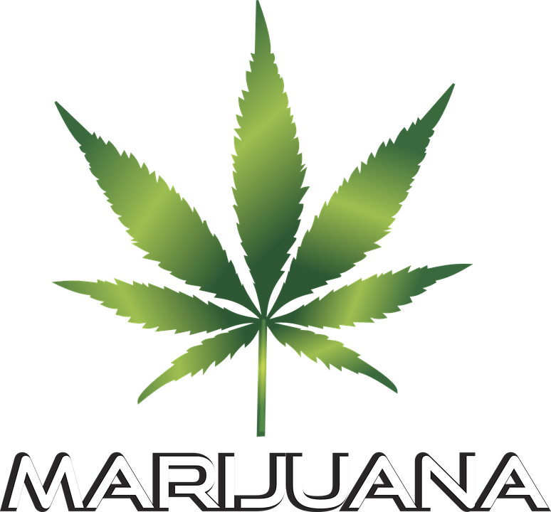 Main Types of CBD Products and Their Effects post thumbnail image